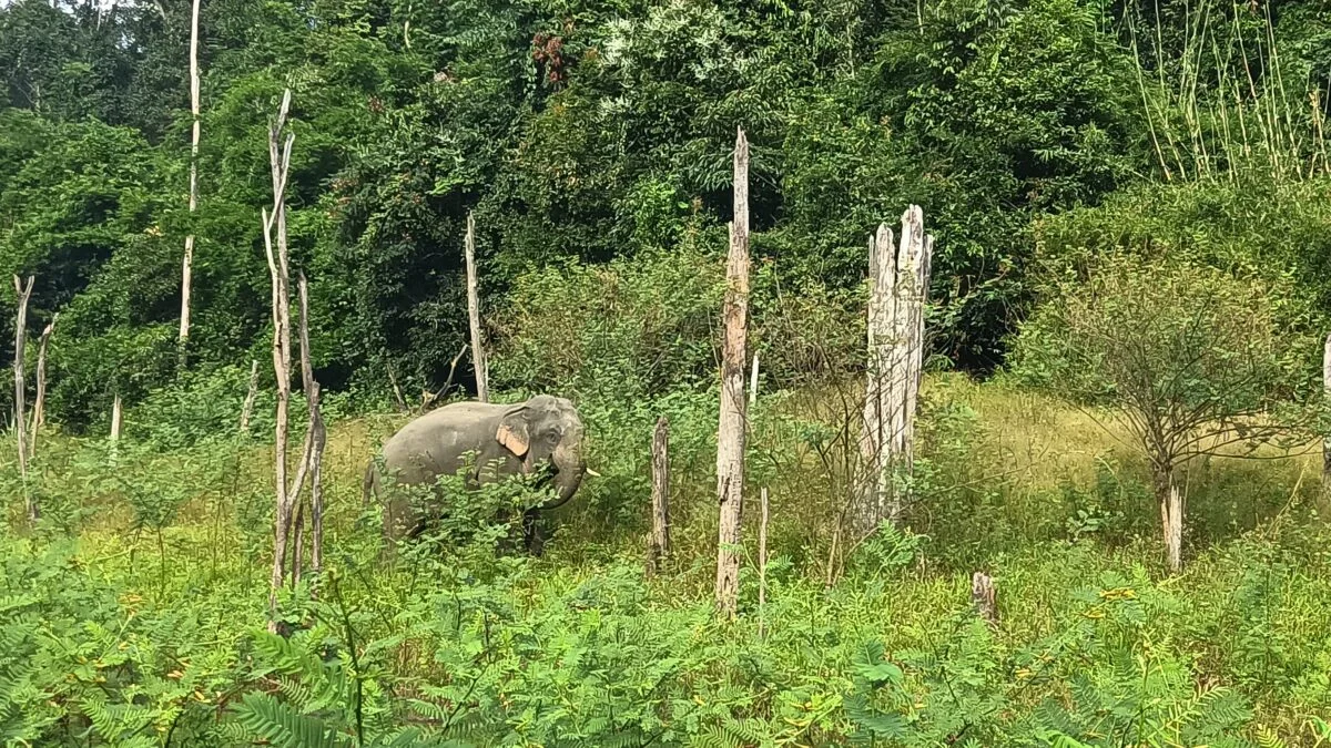 Nakai Plateau, Laos