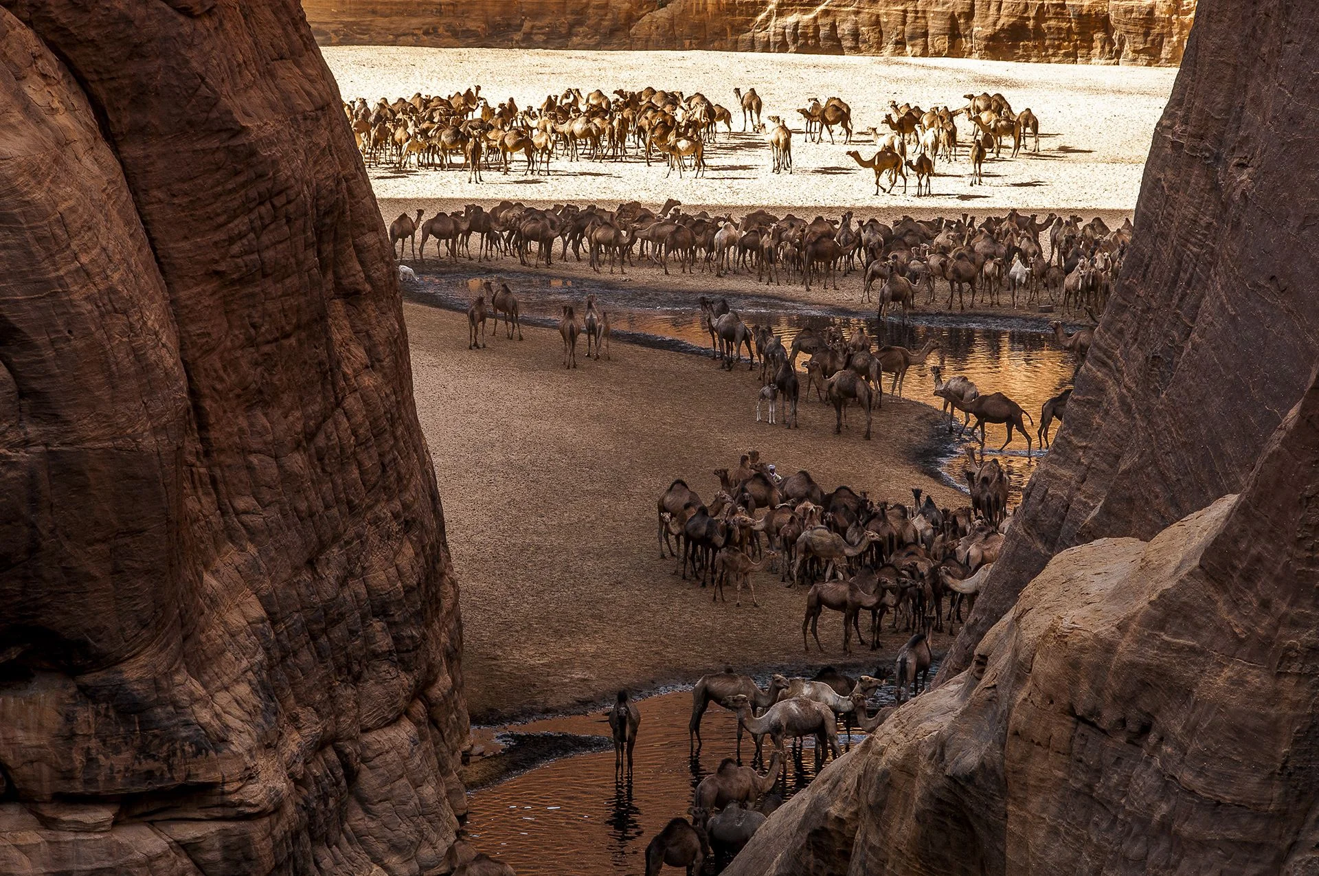 Guelta d'Archei, Tchad