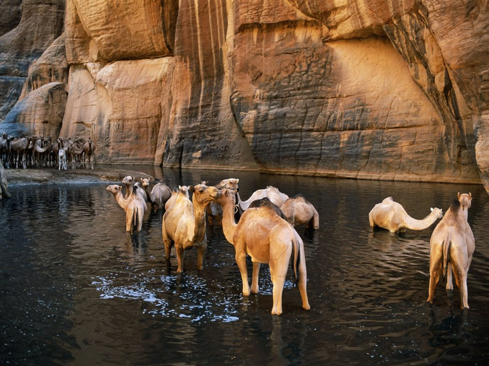 Guelta d'Archei, Tchad