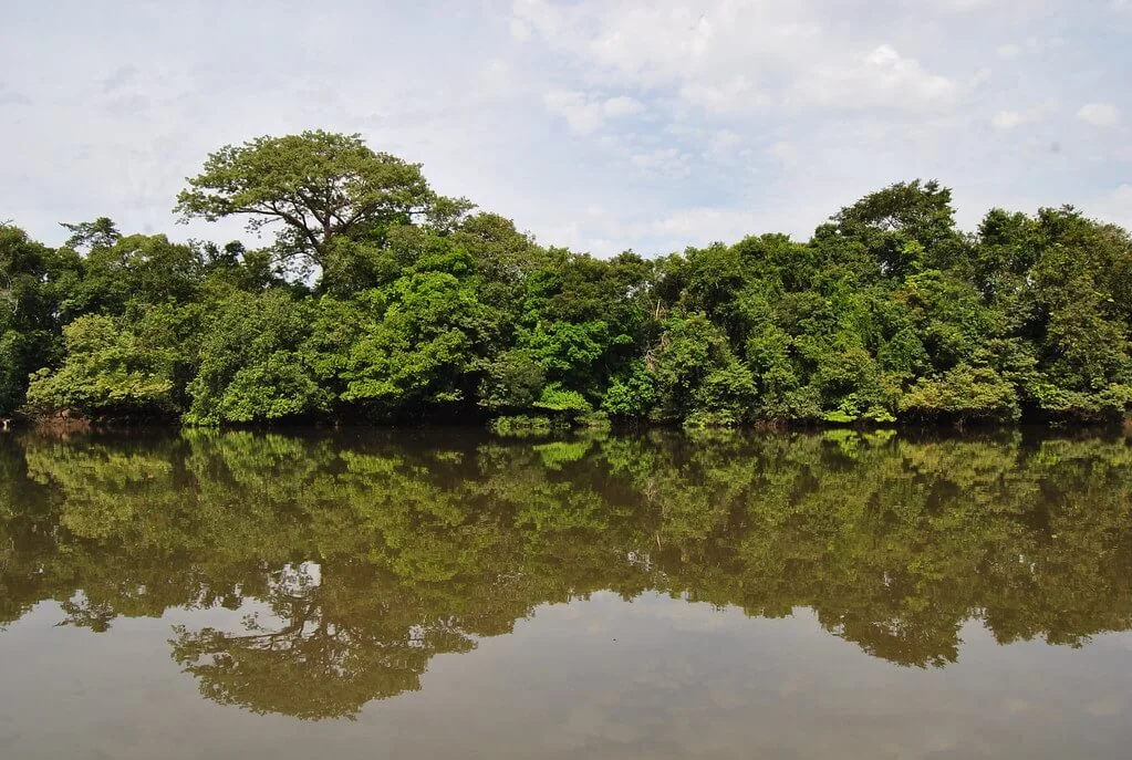 Parc national d'Outamba-Kilimi, Sierra Leone