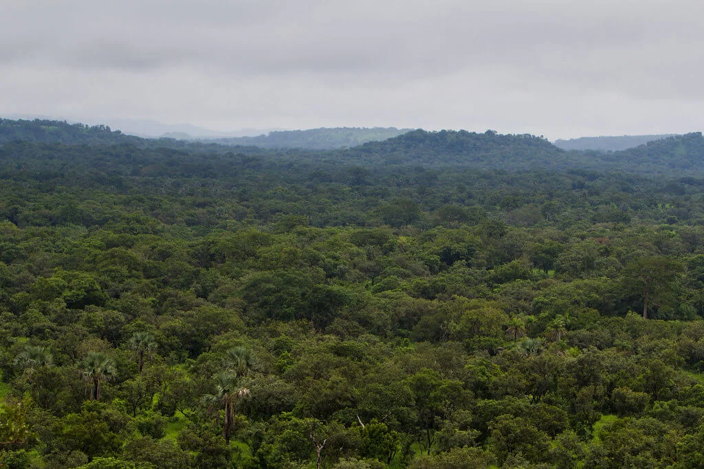 Parc national d'Outamba-Kilimi, Sierra Leone