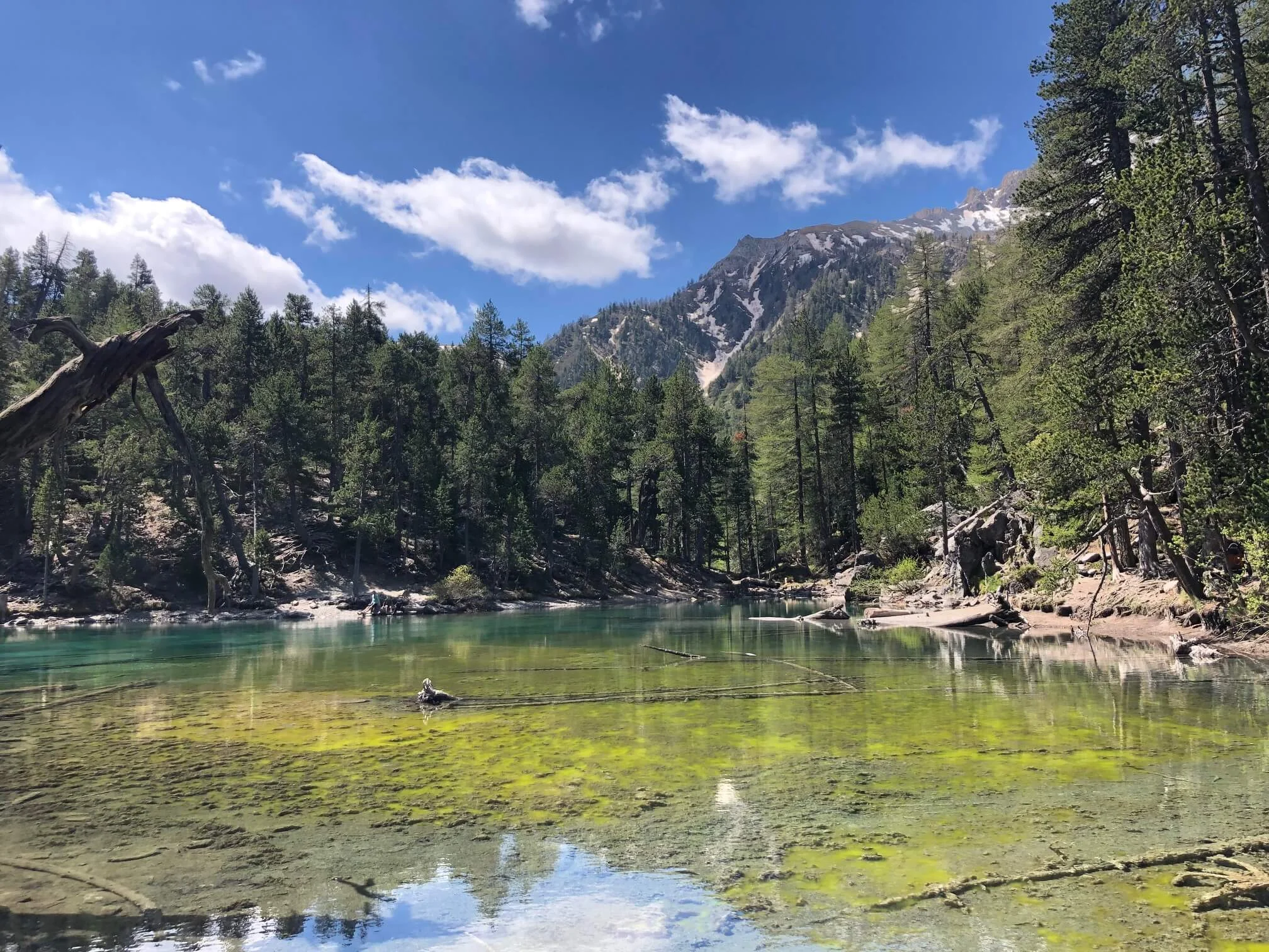 Lac Vert (Hautes-Alpes), France