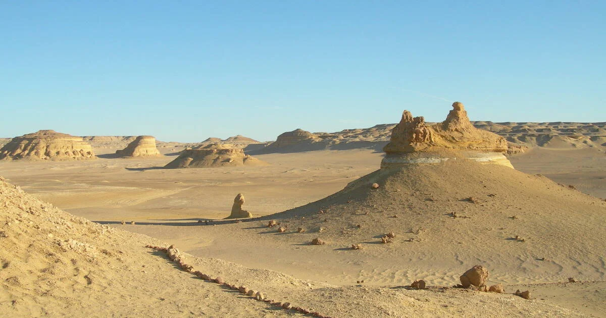 Ouadi Al-Hitan, Égypte