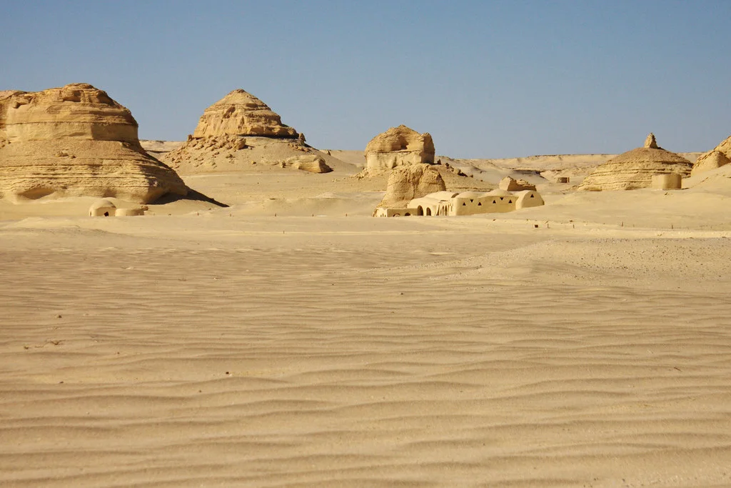 Ouadi Al-Hitan, Égypte