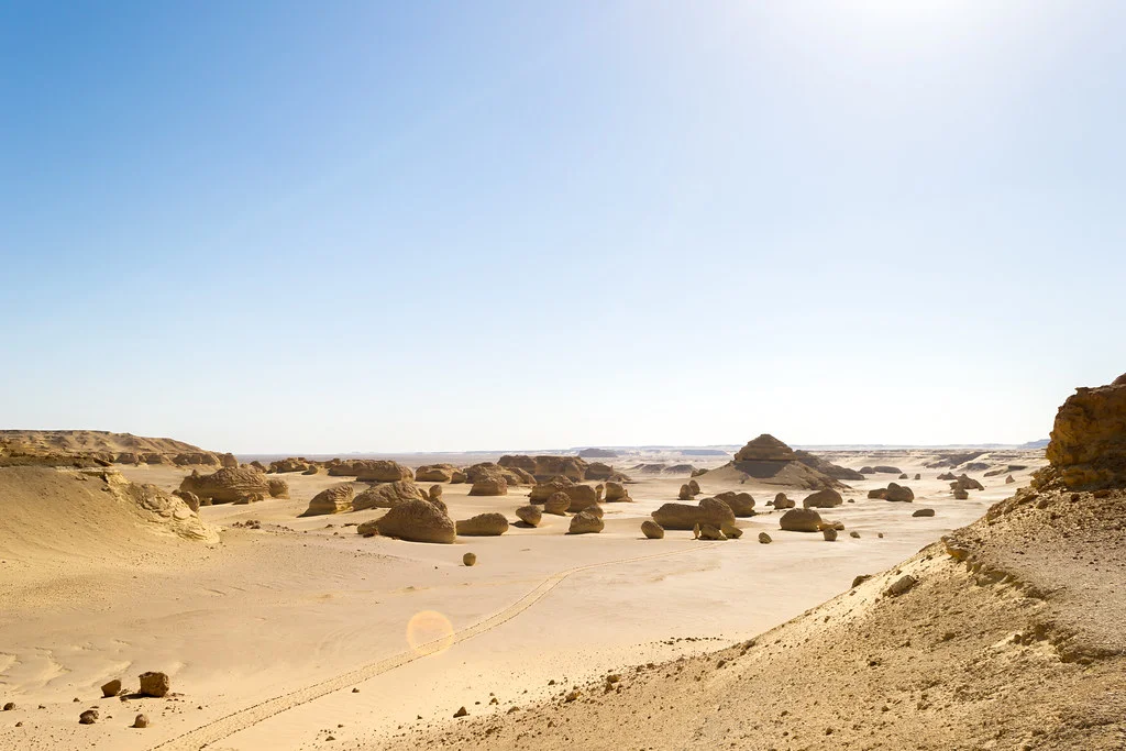 Ouadi Al-Hitan, Égypte