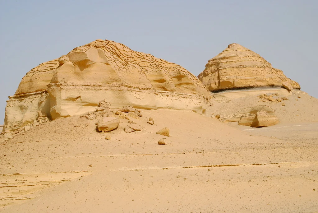 Ouadi Al-Hitan, Égypte