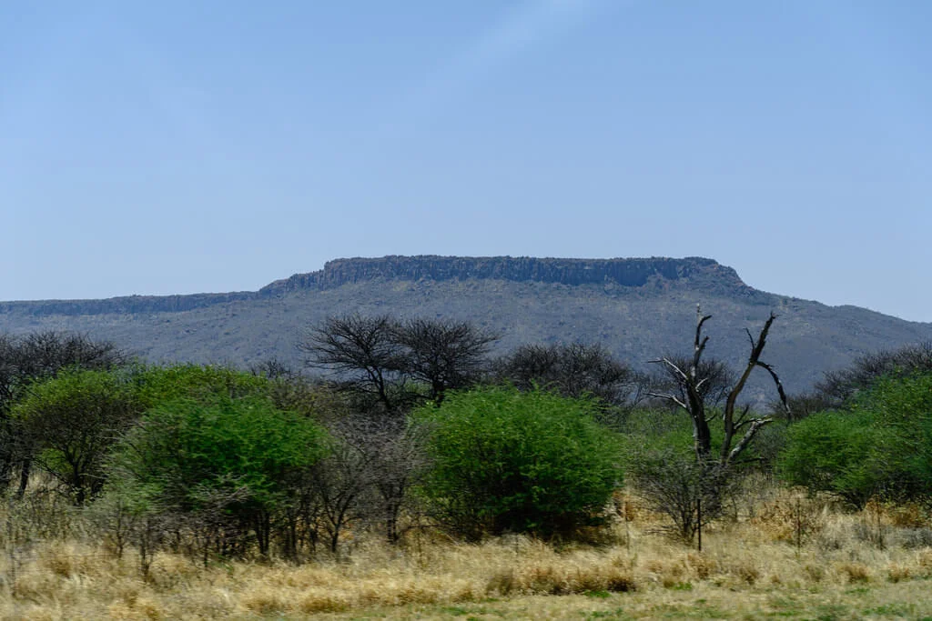 Parc national de Waterberg, Namibie