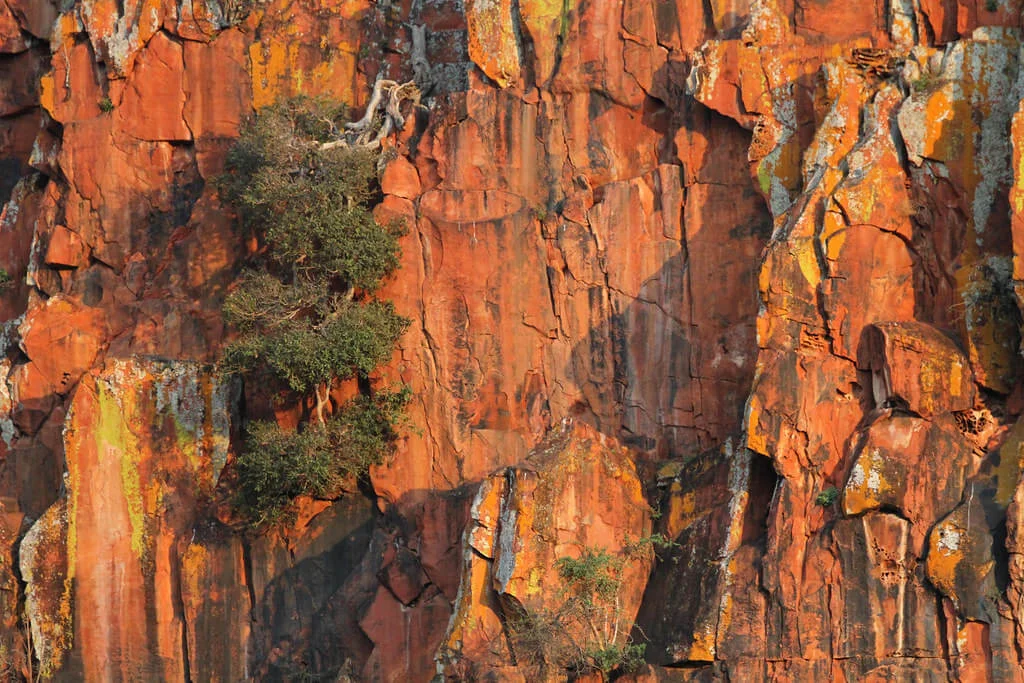 Parc national de Waterberg, Namibie