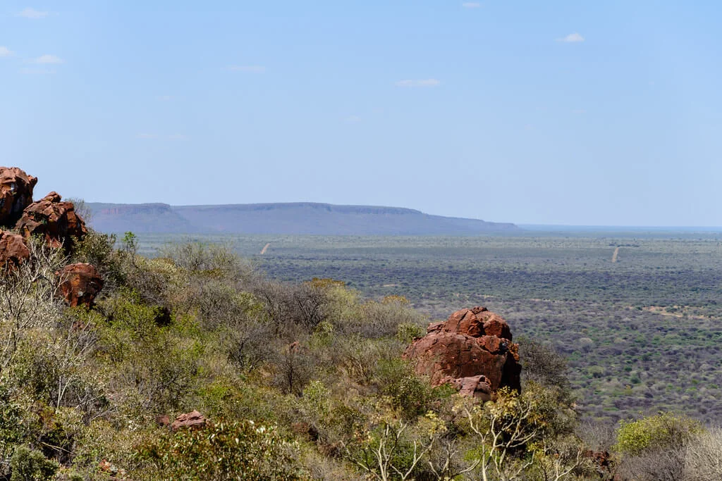 Parc national de Waterberg, Namibie