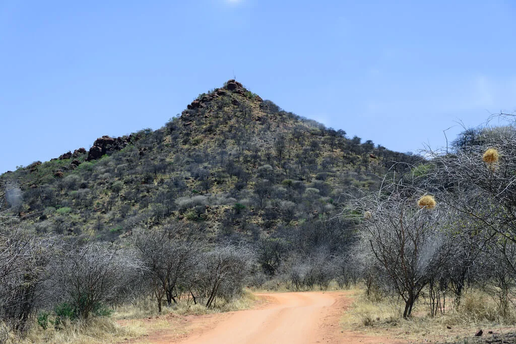 Parc national de Waterberg, Namibie