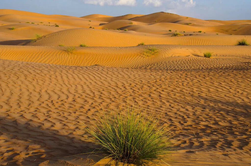 Wahiba Sands, Oman, Oman