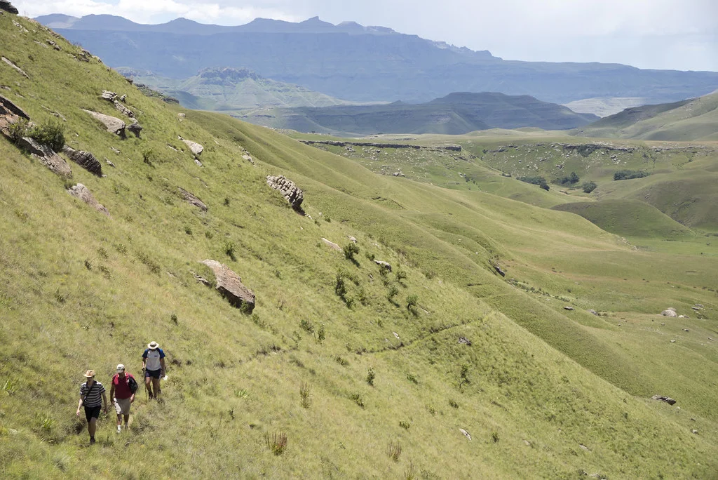 Giant's Cup Trail, Afrique du Sud