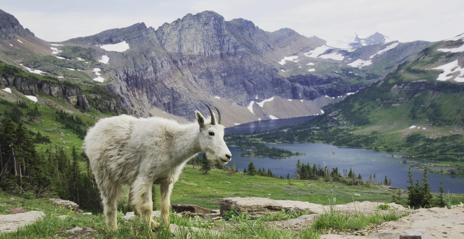 Parc national de Glacier, États-Unis
