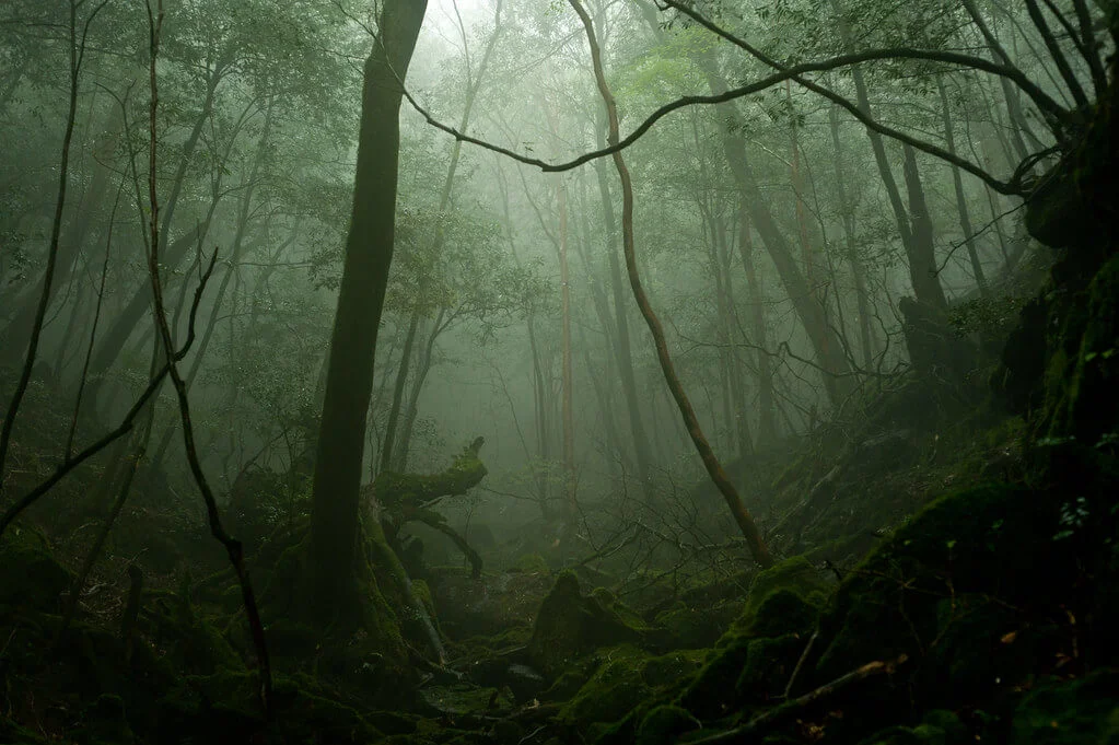 Yaku-shima, Japon