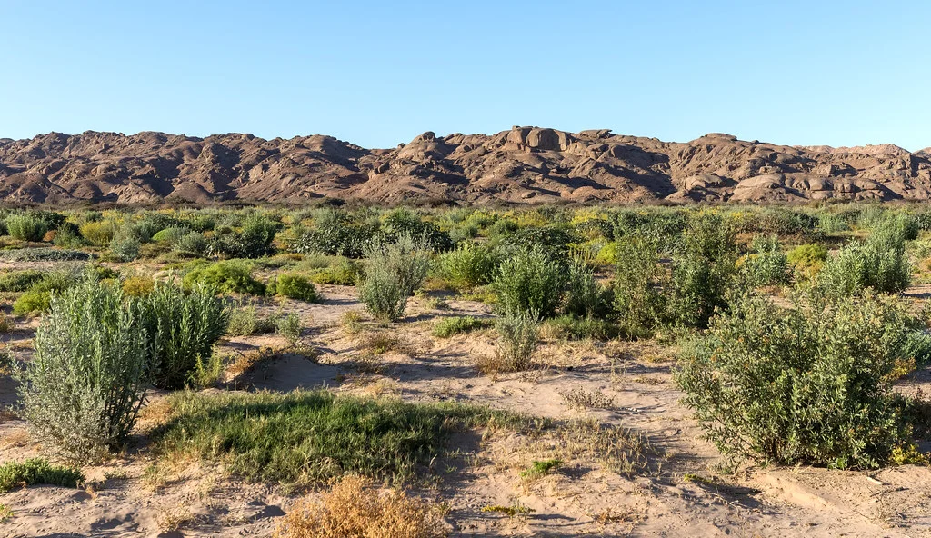 Hoanib River, Namibie
