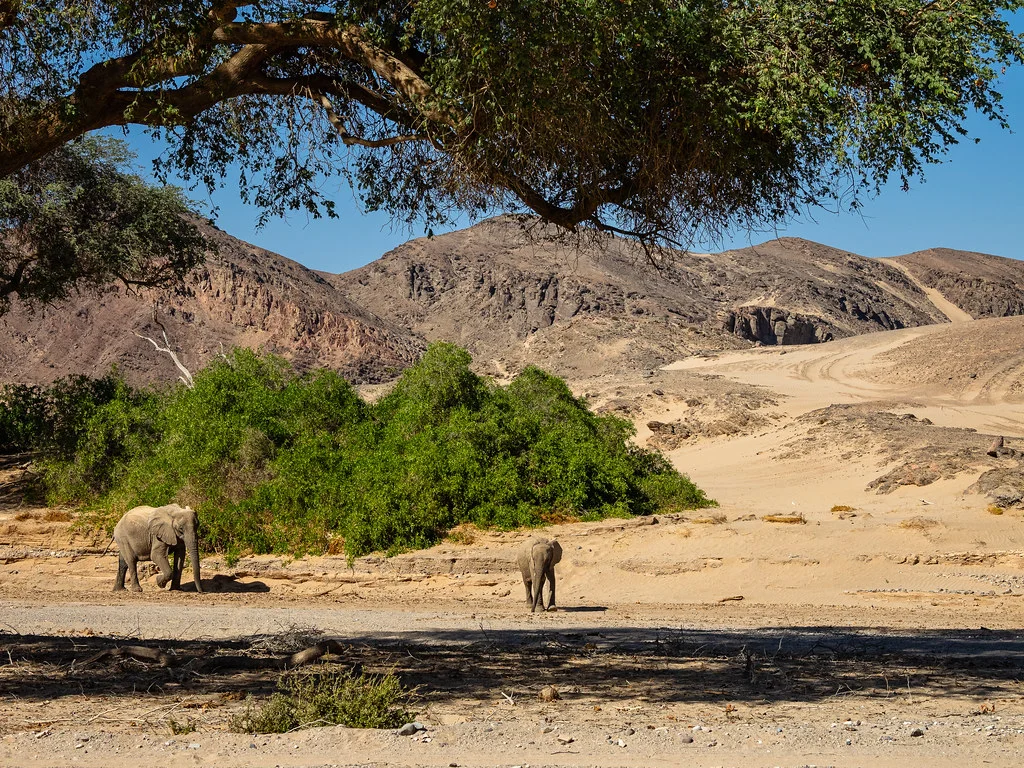 Hoanib River, Namibie