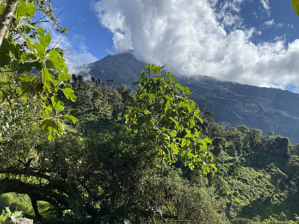 Tungurahua, Équateur, Équateur