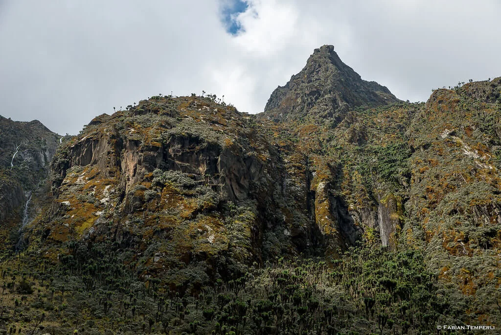 Mont Speke, Ouganda