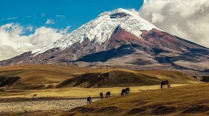 Parc national du Cotopaxi, Équateur, Équateur