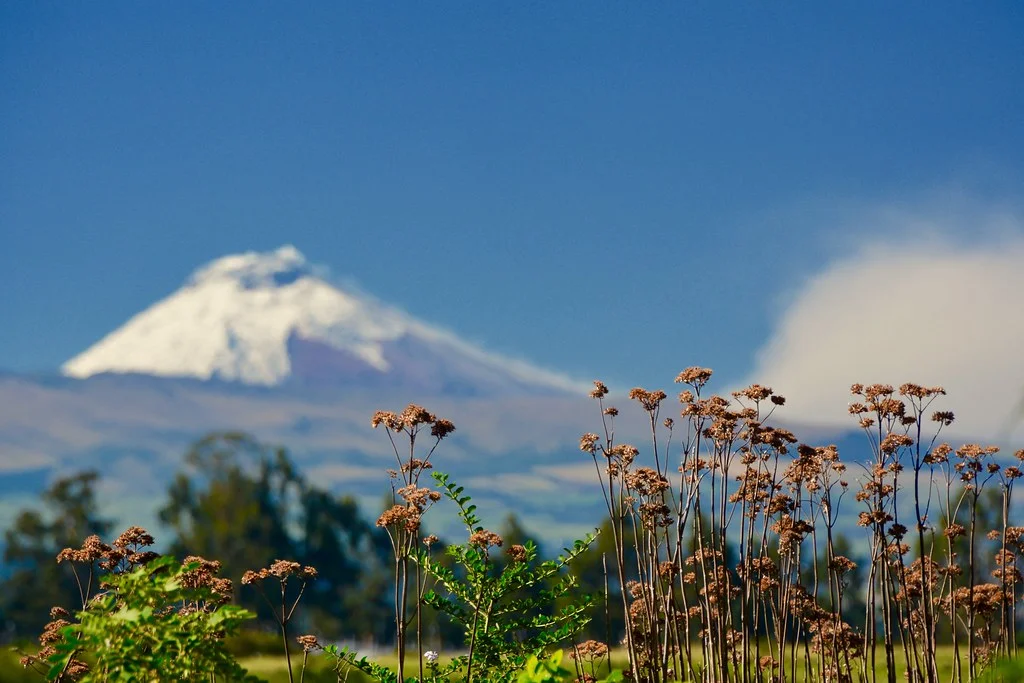Parc national du Cotopaxi, Équateur, Équateur