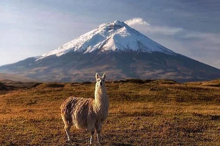 Parc national du Cotopaxi, Équateur, Équateur