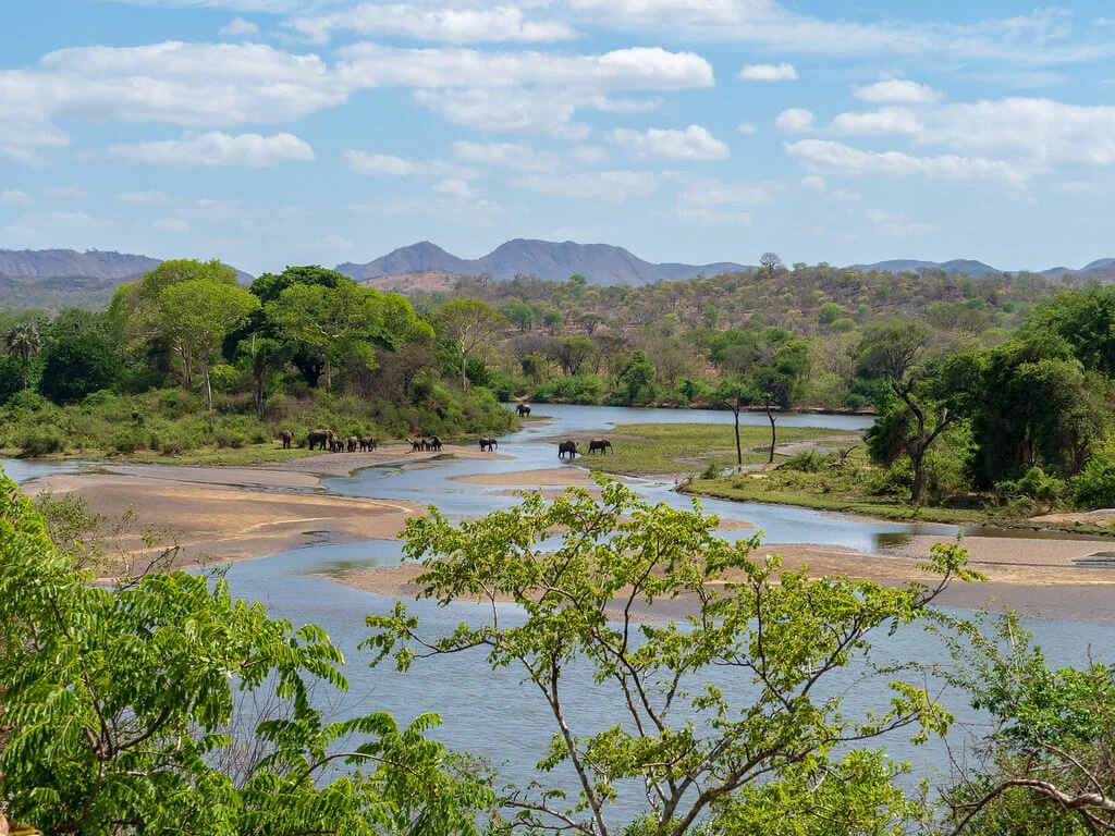 Réserve faunique de Majete, Malawi