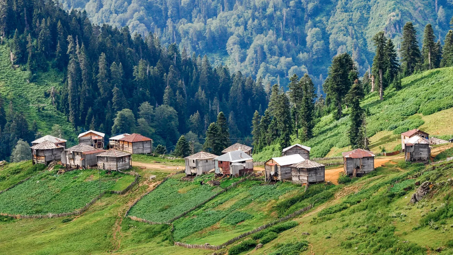 Gomismta, Géorgie
