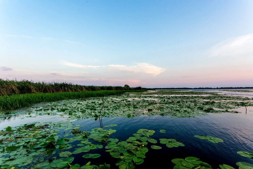 Delta du Danube, Roumanie, Ukraine