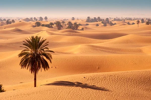 Grand Erg occidental, Algérie