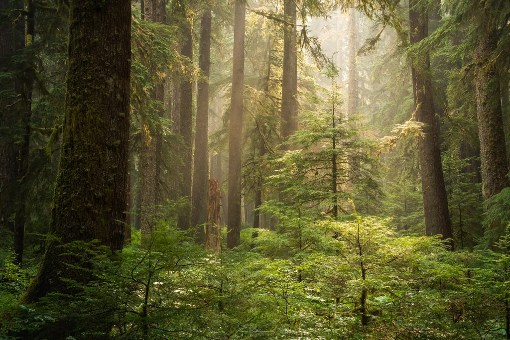 Sol Duc Valley, États-Unis
