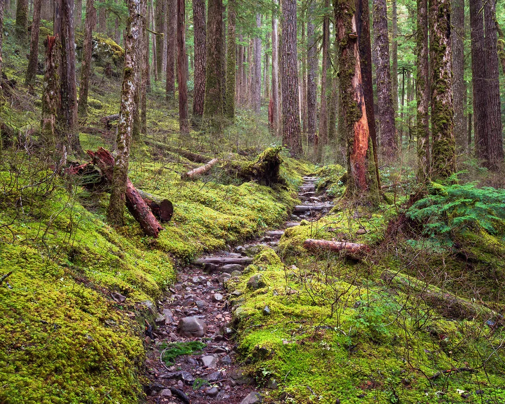 Sol Duc Valley, États-Unis