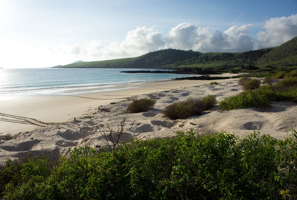 Île Floreana, Équateur, Îles Galápagos