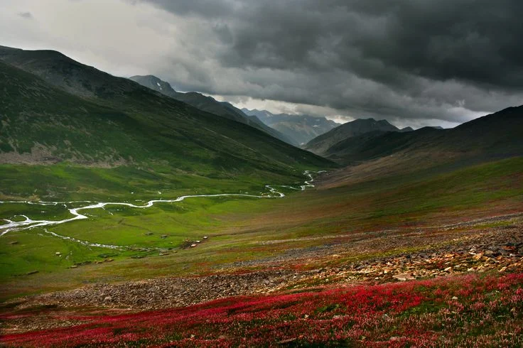 Gittidas Meadows, Pakistan