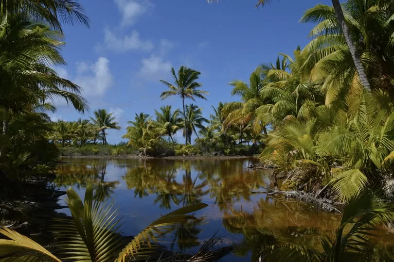 Oeno, Îles Pitcairn