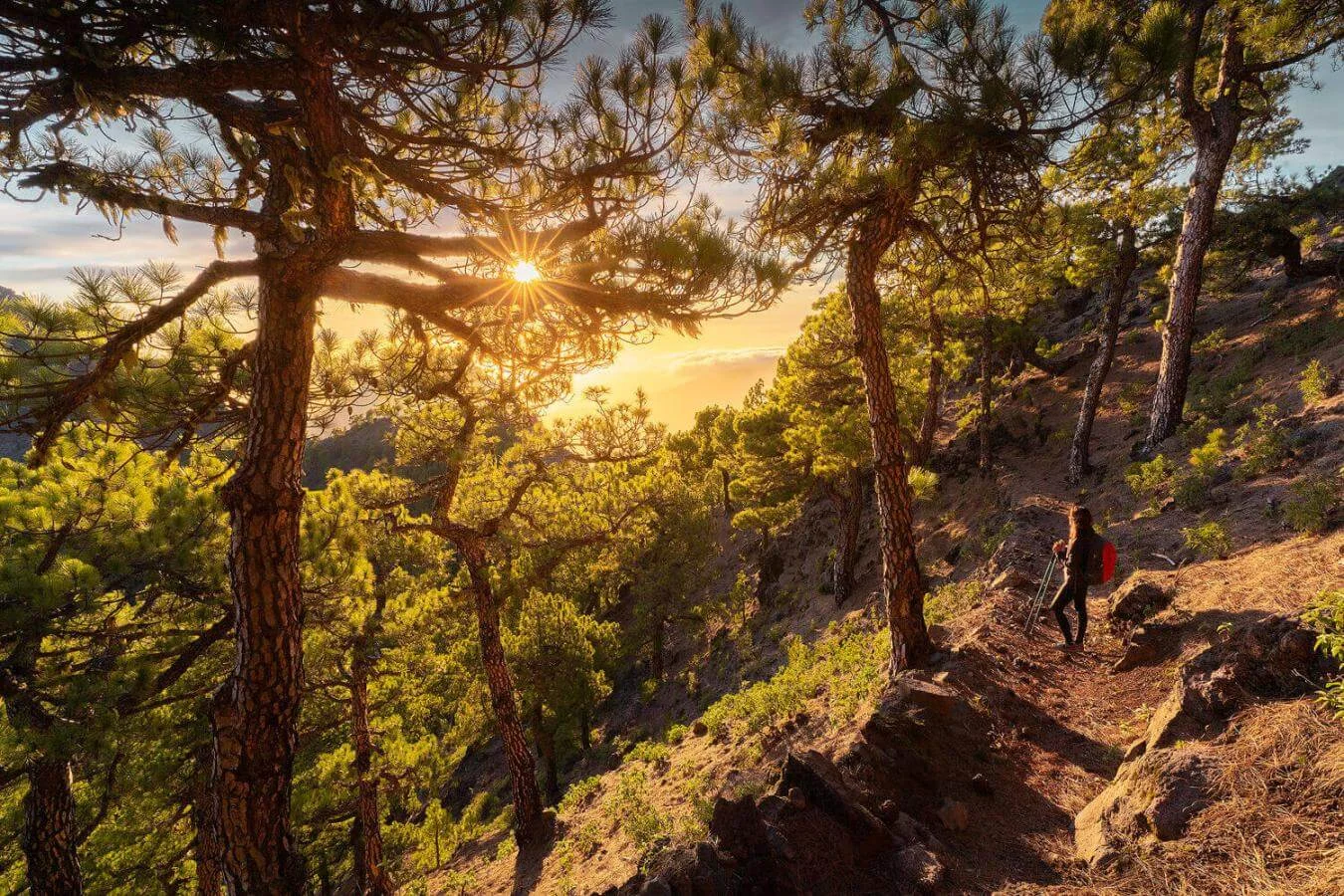 Mirador de Los Brecitos, Espagne, Canaries