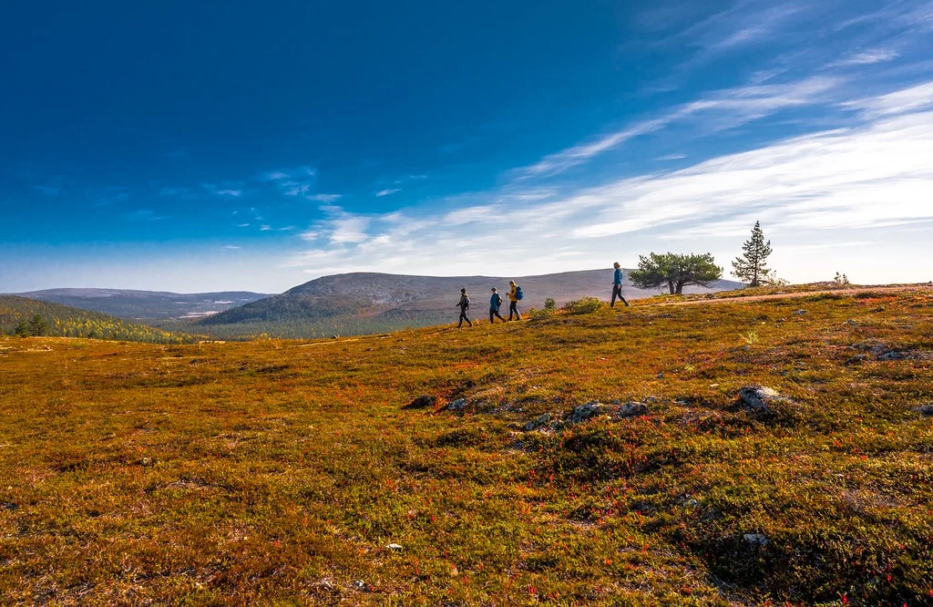 Hetta - Pallas Hiking Trail, Finlande