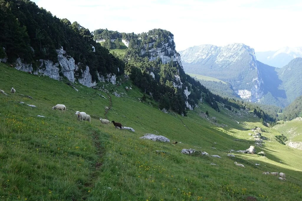 Massif de la Chartreuse, France