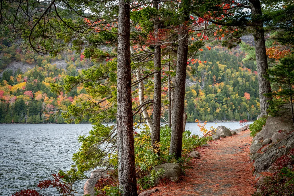 Jordan Pond Path, États-Unis