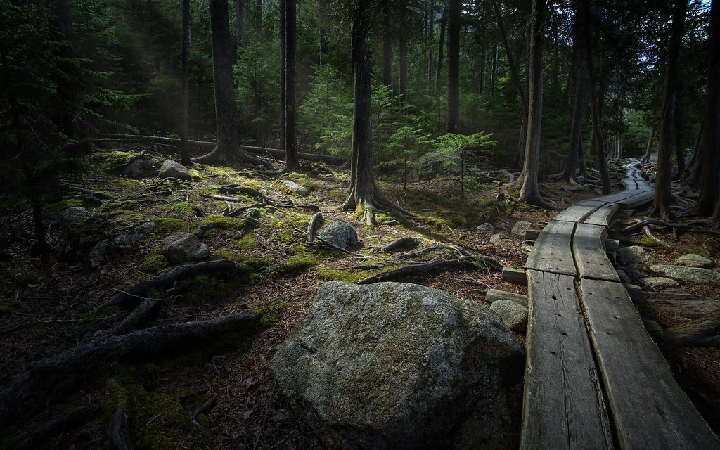 Jordan Pond Path, États-Unis