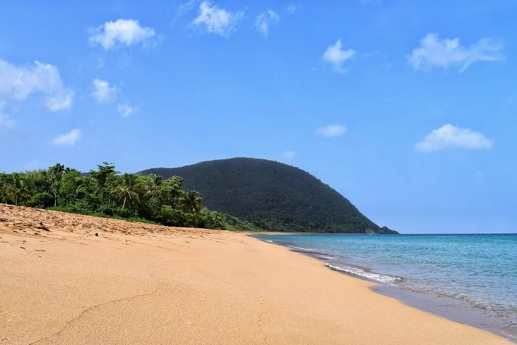 Plage de Grande Anse (Guadeloupe), Guadeloupe