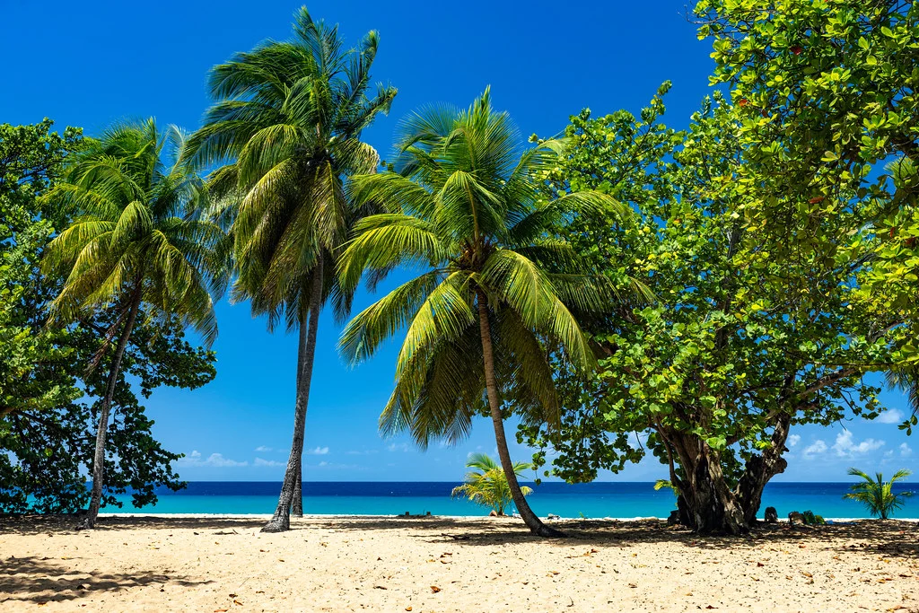 Plage de Grande Anse (Guadeloupe), Guadeloupe