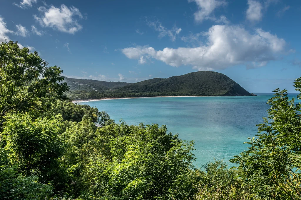 Plage de Grande Anse (Guadeloupe), Guadeloupe