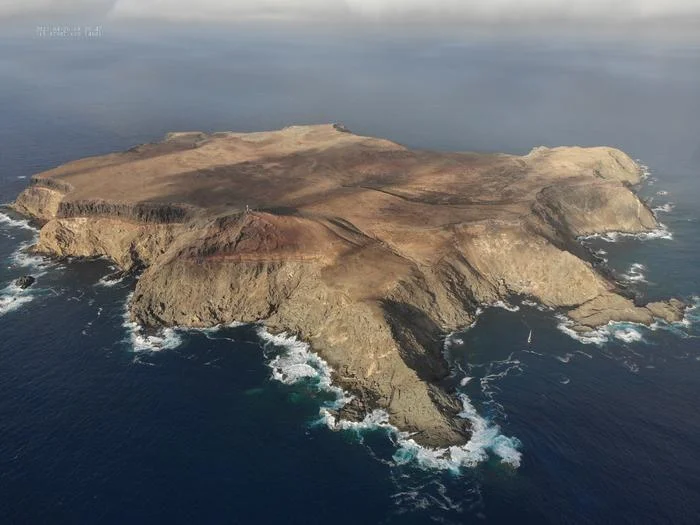 Selvagem Grande, Portugal, Madère