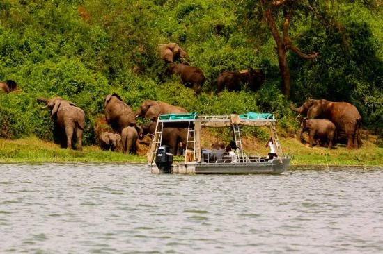 Canal de Kazinga, Ouganda