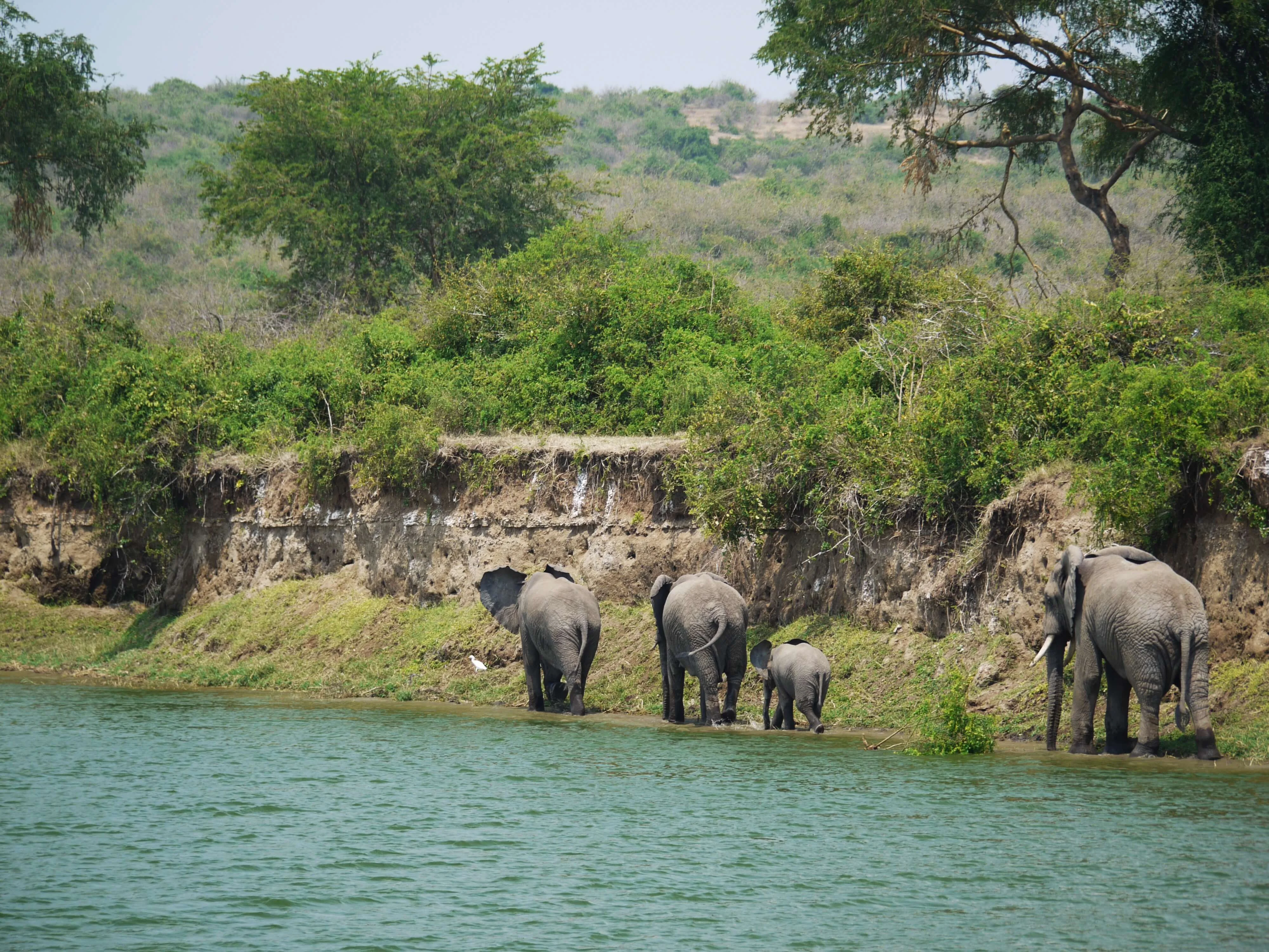 Canal de Kazinga, Ouganda