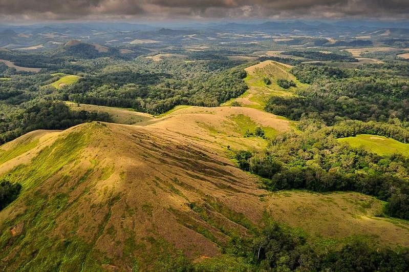 Parc national de la Lopé, Gabon