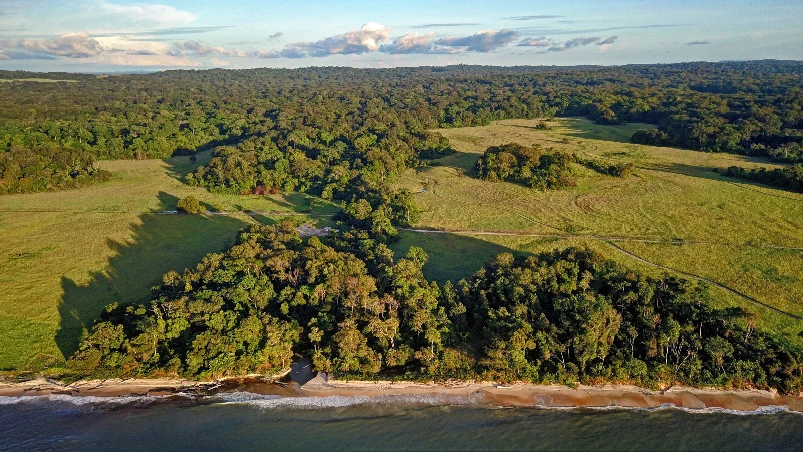 Parc national de la Lopé, Gabon