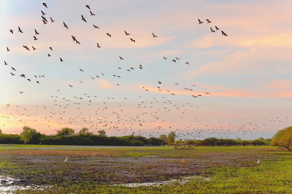 Parc national de Kakadu, Australie