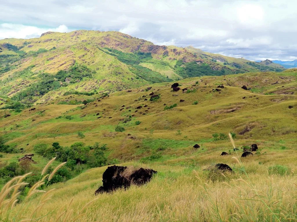 Viti Levu, Fidji