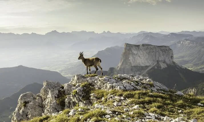 Massif du Vercors, France
